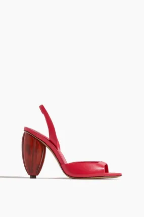 Cacau Sandal in Macaw
